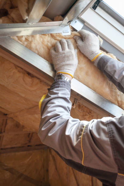 Best Soundproof Insulation Installation  in Pea Ridge, AR